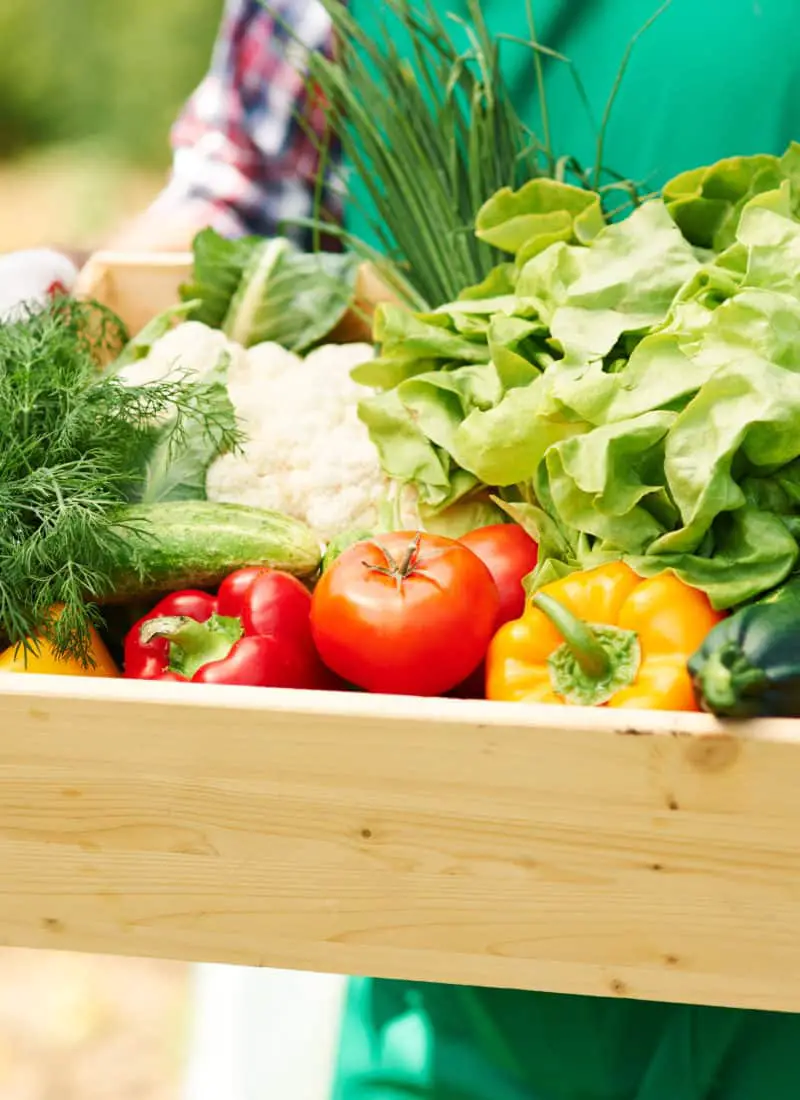 9 Home Gardening Ideas to Grow Better Vegetables, Fruits & Herbs