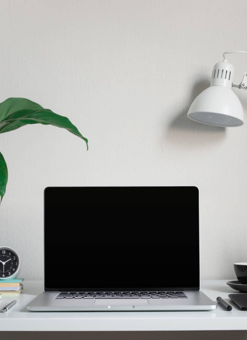 10 Office Plants That Don’t Need Sunlight for your Desk