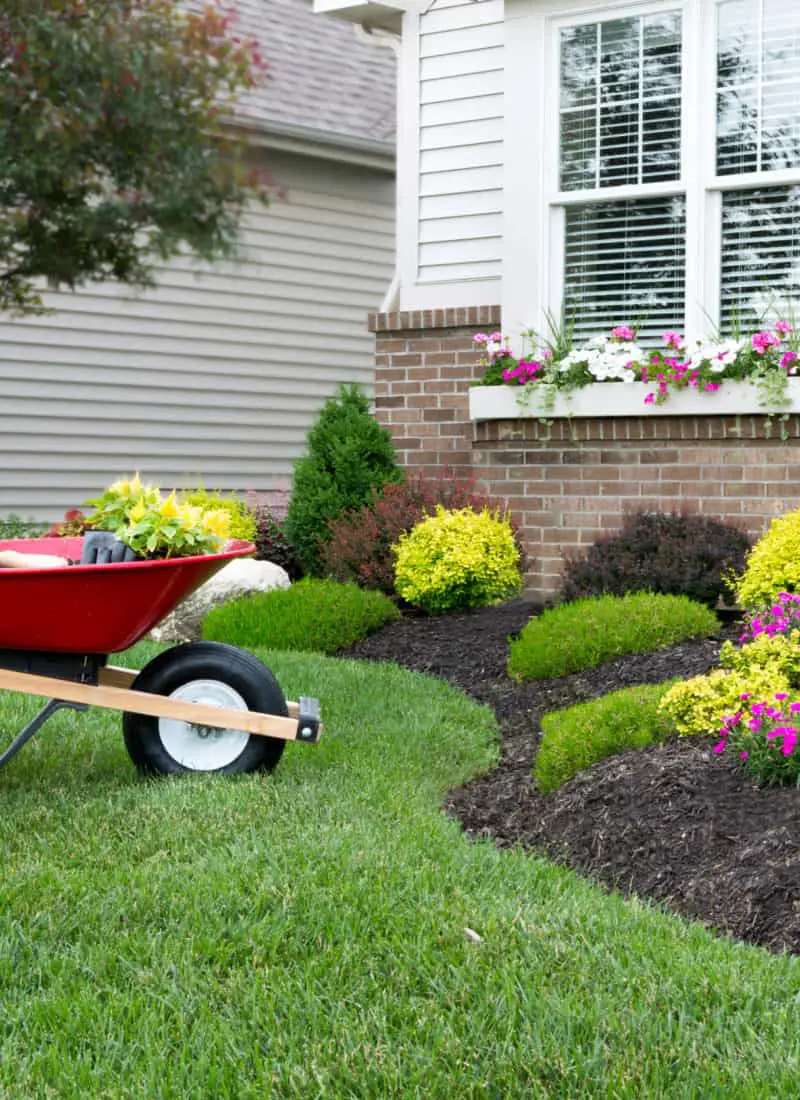 7 Simple Landscaping Activities To Maintain Your Yard