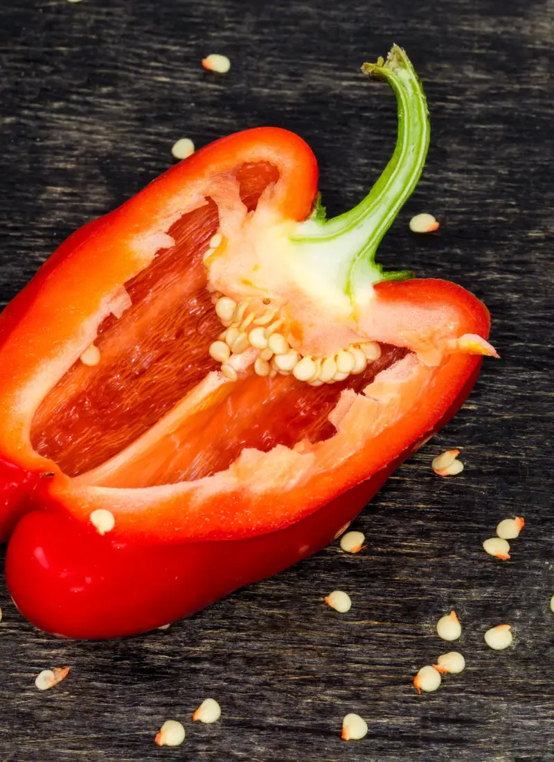 How To Save Seeds from Peppers In 4 Easy Steps