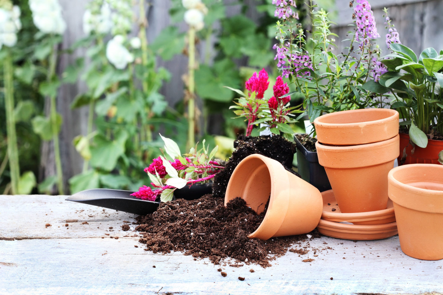 can-i-leave-pots-with-soil-outside-in-winter-here-s-what-you-need-to