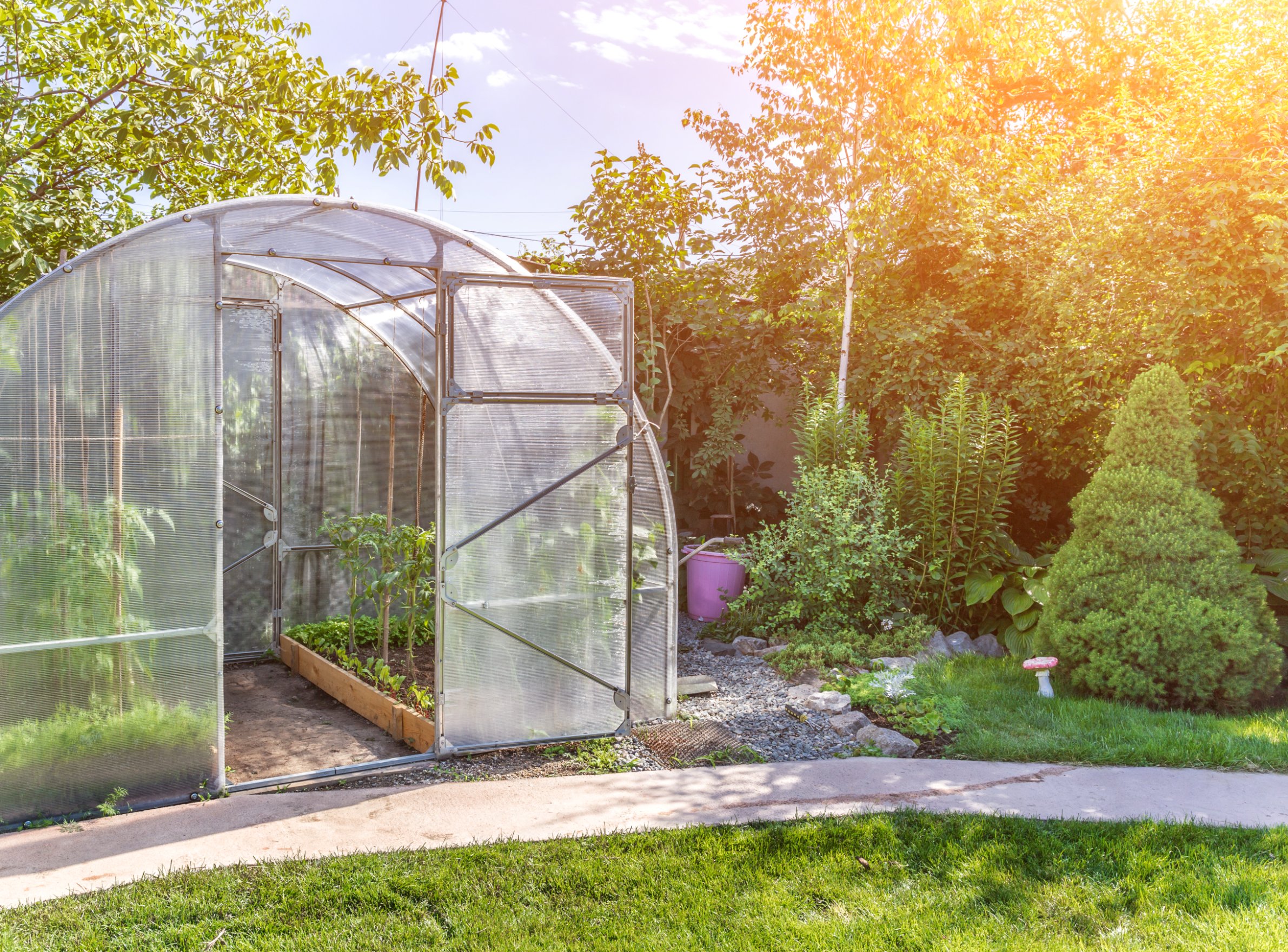 a high tunnel greenhouse surrounded by plants and with a sun glare